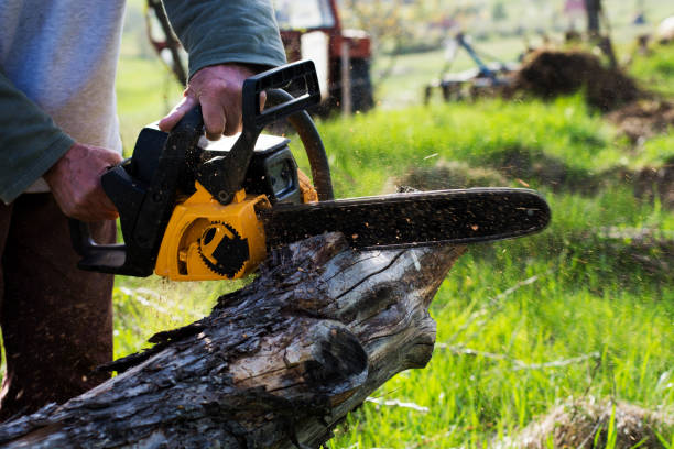 Best Utility Line Clearance  in West Chester, PA