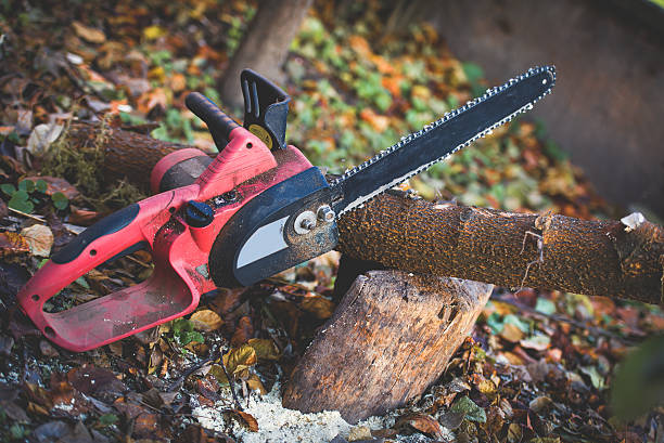 Best Leaf Removal  in West Chester, PA